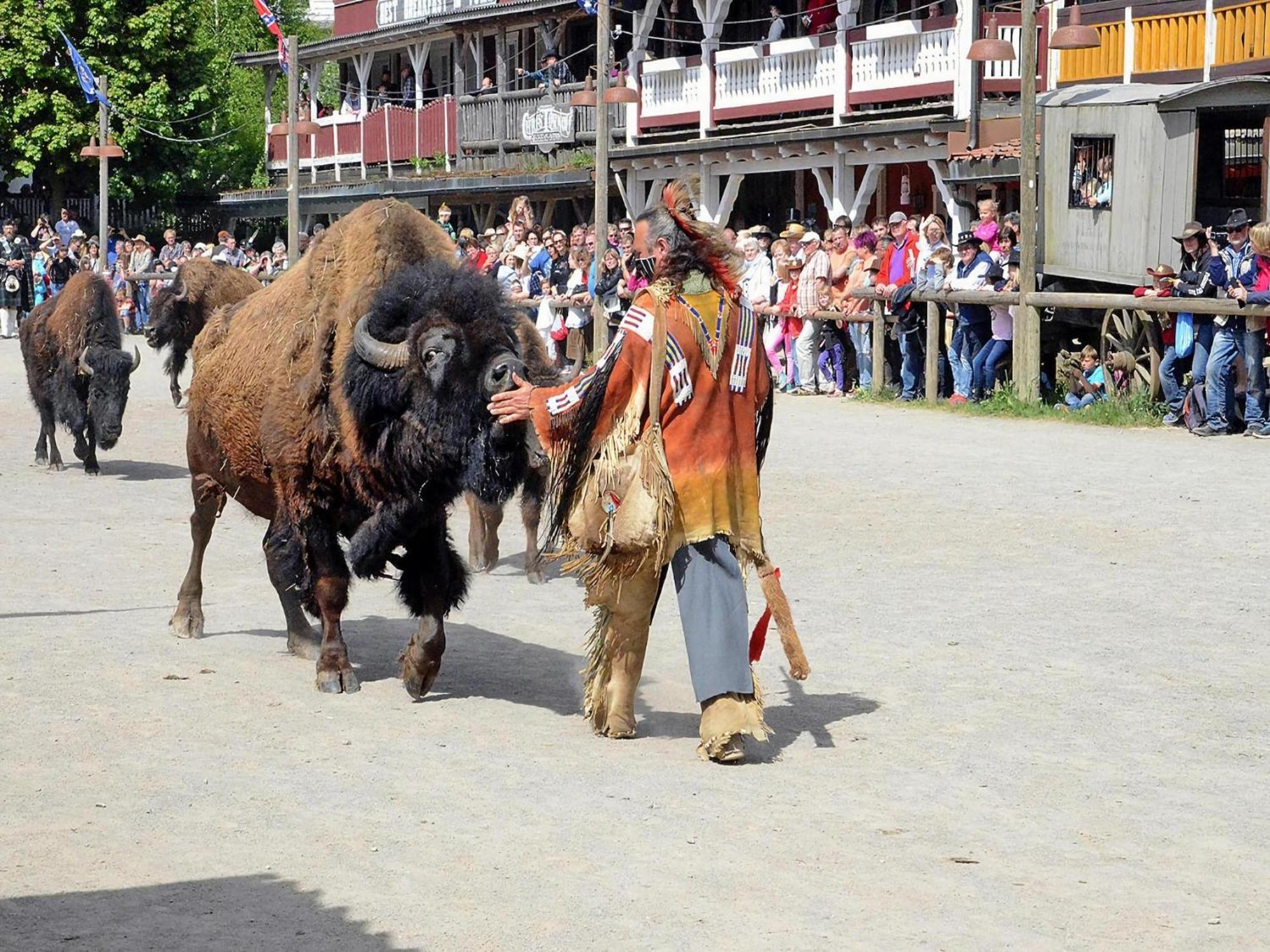 Harz Holiday Park, Hasselfelde Exterior foto